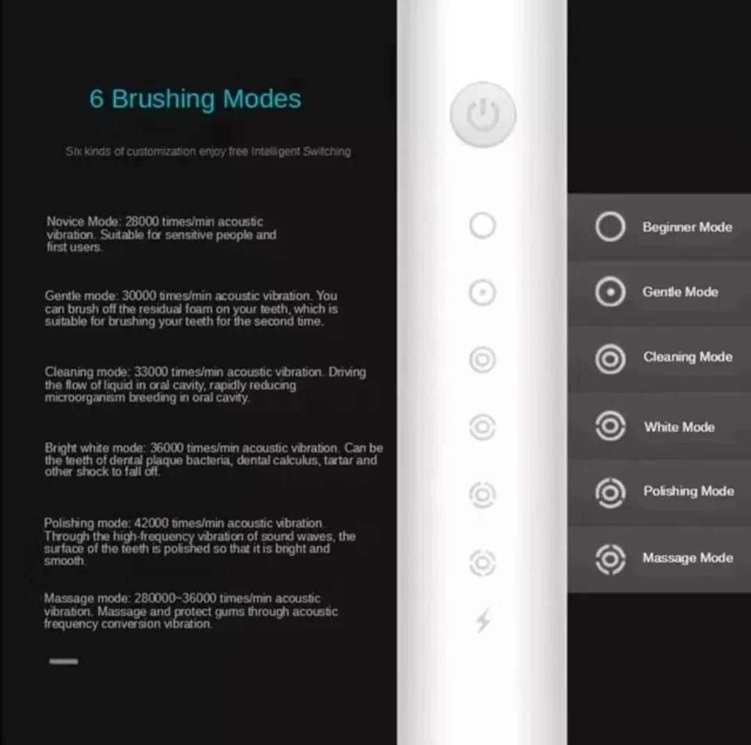 Sonic Electric Toothbrush for Adults IPX7 Waterproof DuPont Brush Head USB Rechargeable High Frequency Cleaning 6 Cleaning Modes Hinoki Milano