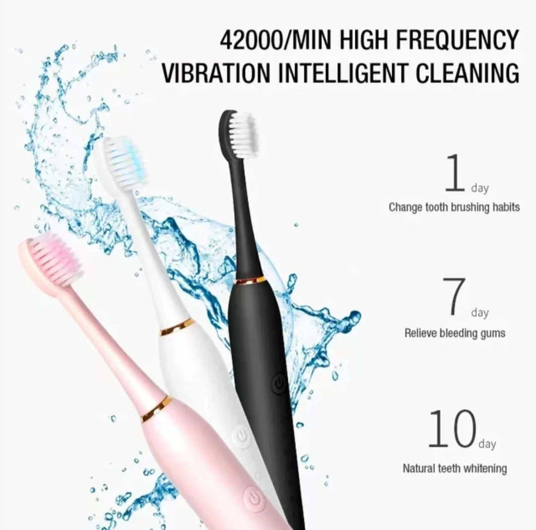 Sonic Electric Toothbrush for Adults IPX7 Waterproof DuPont Brush Head USB Rechargeable High Frequency Cleaning 6 Cleaning Modes Hinoki Milano